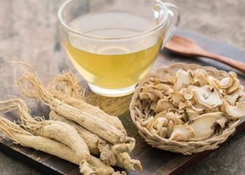 Phân biệt nhân sâm Hàn Quốc và nhân sâm Canada