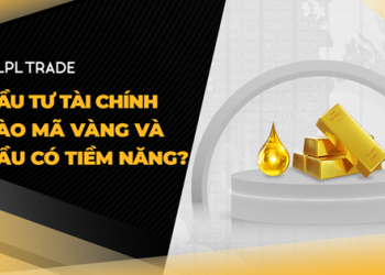 Đầu tư tài chính vào mã vàng tiềm năng như thế nào