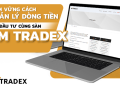 Nắm Vững Ba Yếu Tố Quản Lý Dòng Tiền Cho Trader Cùng Sàn AM TRADEX