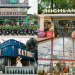 ‘Đấu trường nhan sắc’ chuỗi cà phê Việt 2024: Katinat dậy thì thành công, Starbucks bớt kiêu kỳ hơn, Phúc Long thuê ‘PT xịn’…