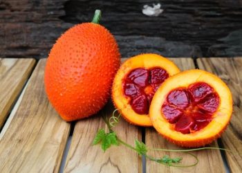 Loại quả có vitamin C gấp 40 lần cam, tiến sĩ Trung Quốc khen hết lời: Việt Nam xuất khẩu từ Á đến Âu