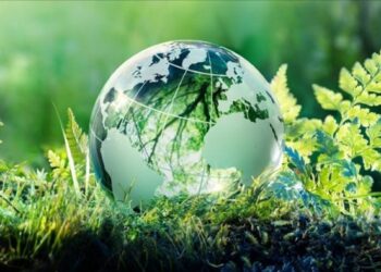 Đối thoại hòa bình: Giải pháp kế toán và tài chính xanh cho doanh nghiệp trong thế giới cạnh tranh